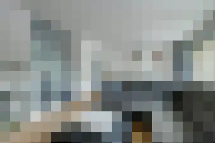 Hofzicht 4 Wateringen thumbnail 12
