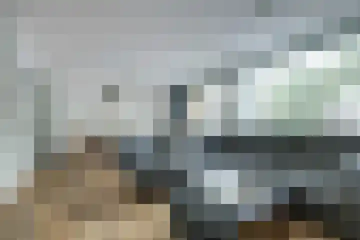 Hofzicht 4 Wateringen thumbnail 13