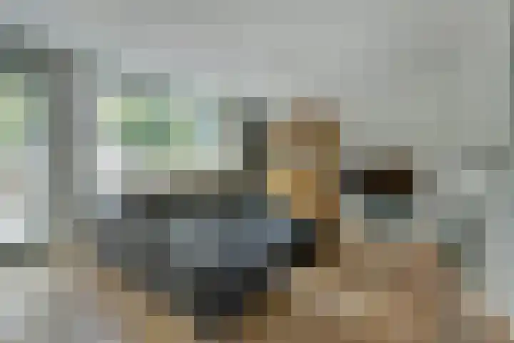 Hofzicht 4 Wateringen thumbnail 14