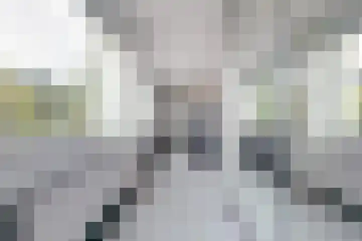 Hofzicht 4 Wateringen thumbnail 23