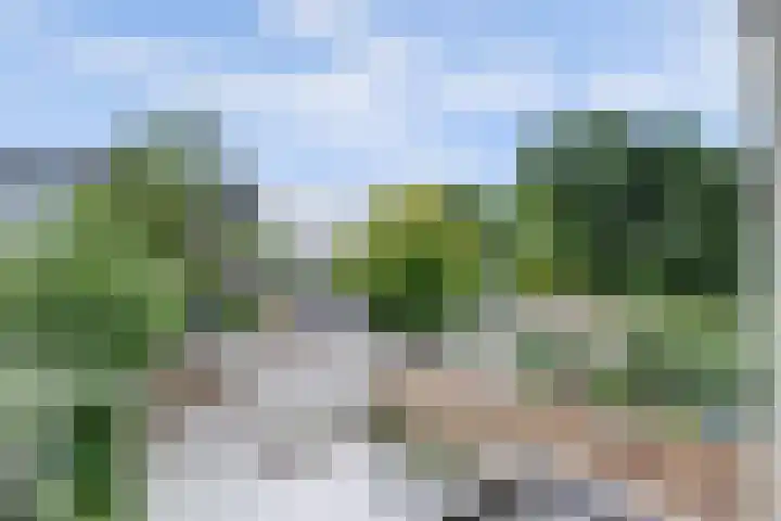 Hofzicht 4 Wateringen thumbnail 24