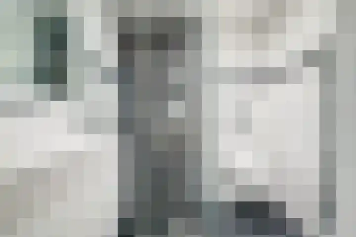 Hofzicht 4 Wateringen thumbnail 25