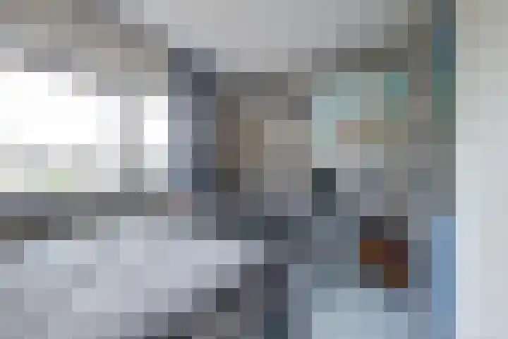 Hofzicht 4 Wateringen thumbnail 30