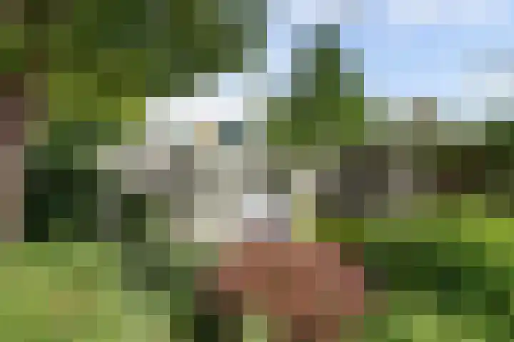 Hofzicht 4 Wateringen thumbnail 34