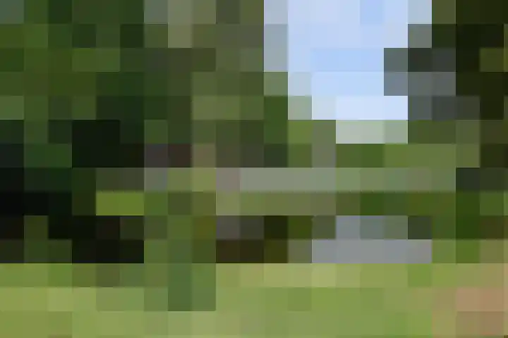 Hofzicht 4 Wateringen thumbnail 36