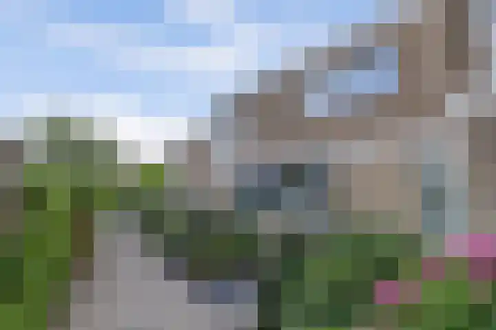 Hofzicht 4 Wateringen thumbnail 4