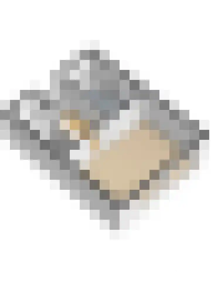 Hofzicht 4 Wateringen thumbnail 41