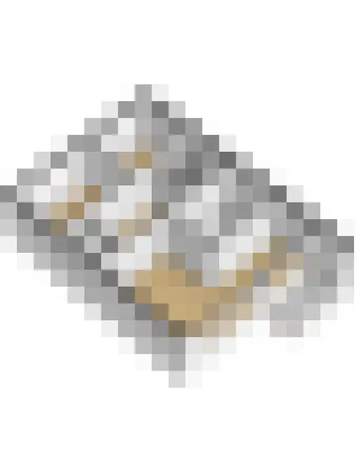 Hofzicht 4 Wateringen thumbnail 43