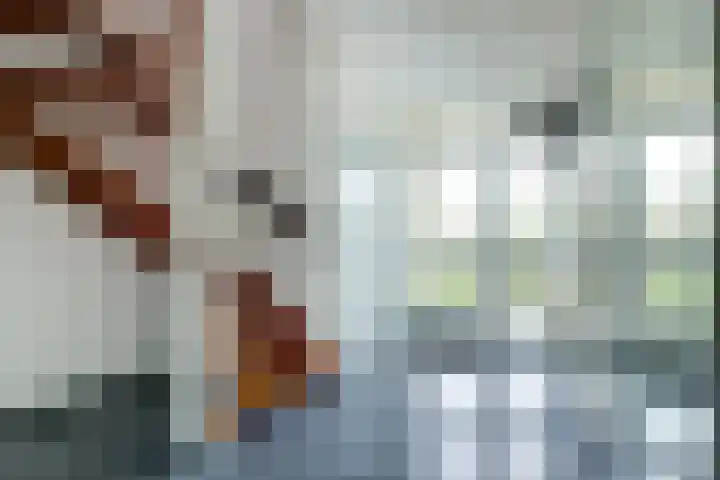 Hofzicht 4 Wateringen thumbnail 6