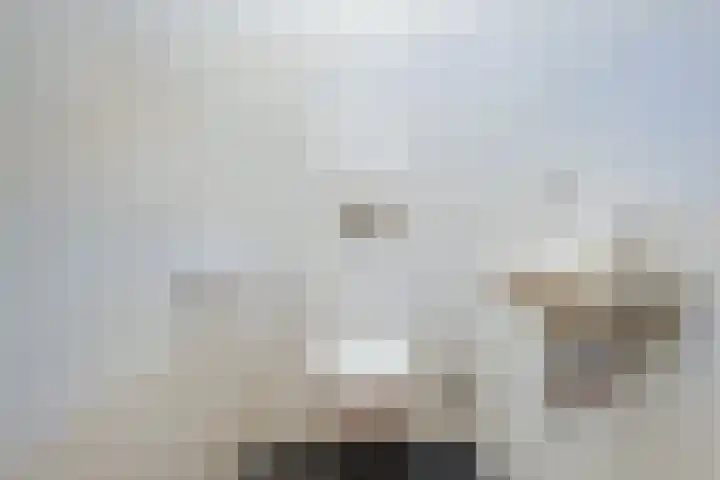 Hofzicht 4 Wateringen thumbnail 9