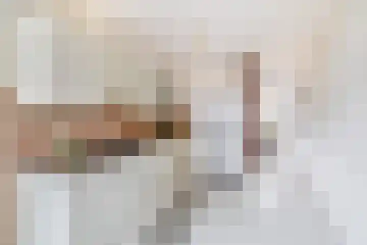 Hofzicht 41 Hillegom thumbnail 14