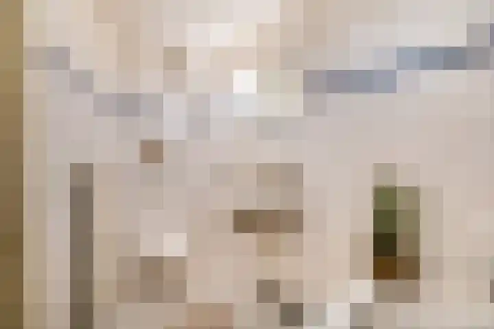 Hofzicht 41 Hillegom thumbnail 23