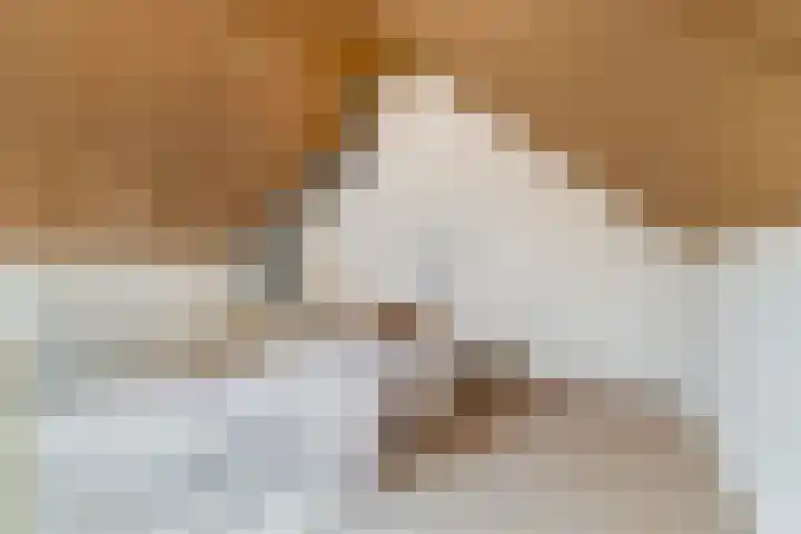 Hofzicht 41 Hillegom thumbnail 27