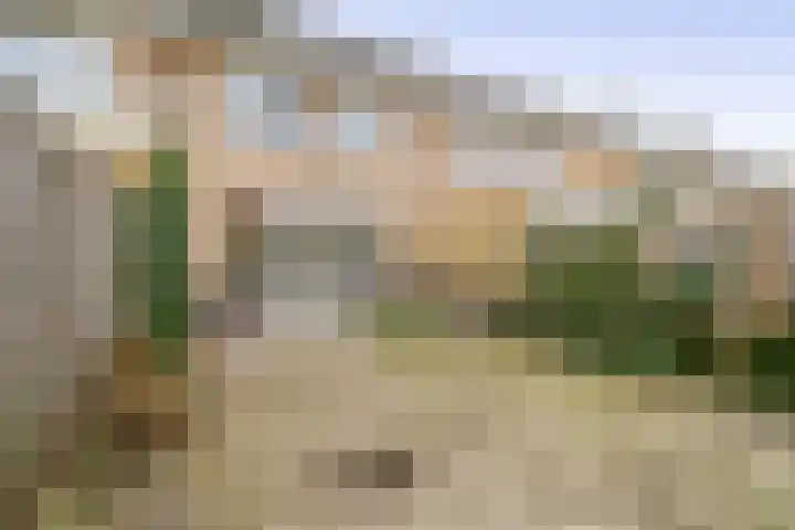 Hofzicht 41 Hillegom thumbnail 29
