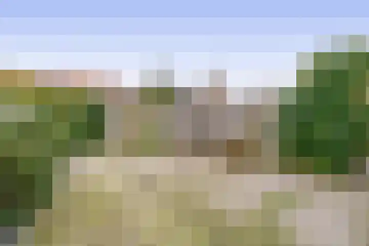 Hofzicht 41 Hillegom thumbnail 30