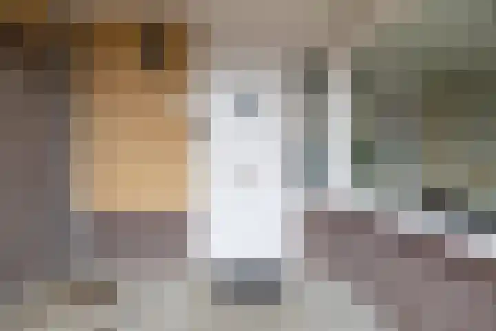 Hofzicht 41 Hillegom thumbnail 8