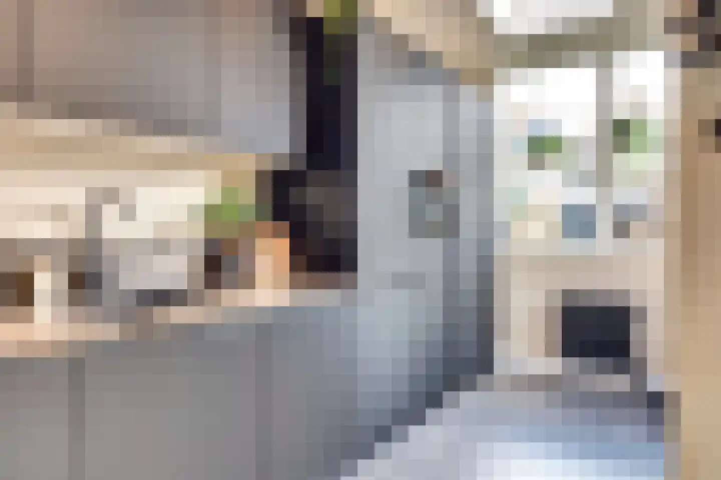 Hofzicht 45 De Lier thumbnail 14
