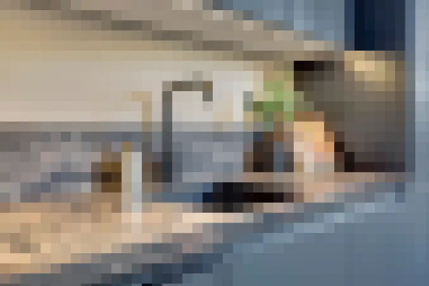Hofzicht 45 De Lier thumbnail 17