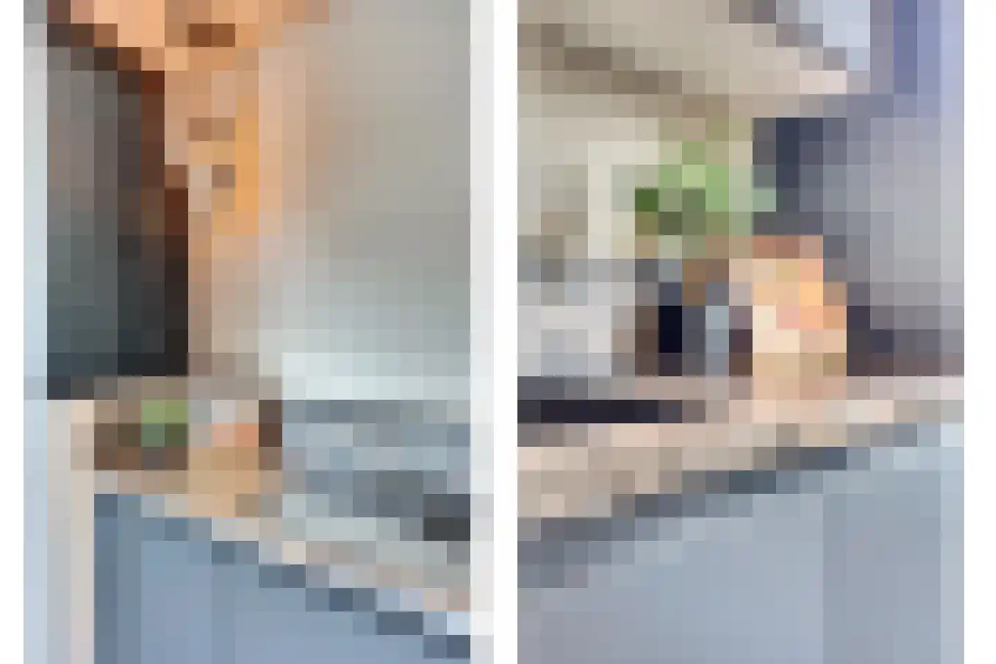 Hofzicht 45 De Lier thumbnail 18