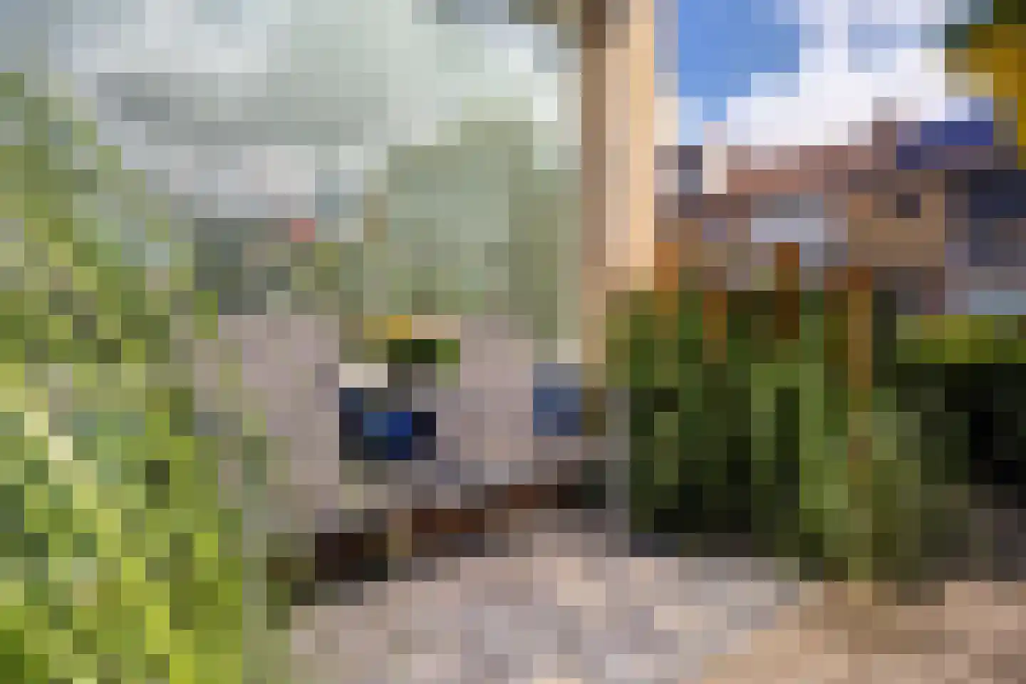 Hofzicht 45 De Lier thumbnail 50