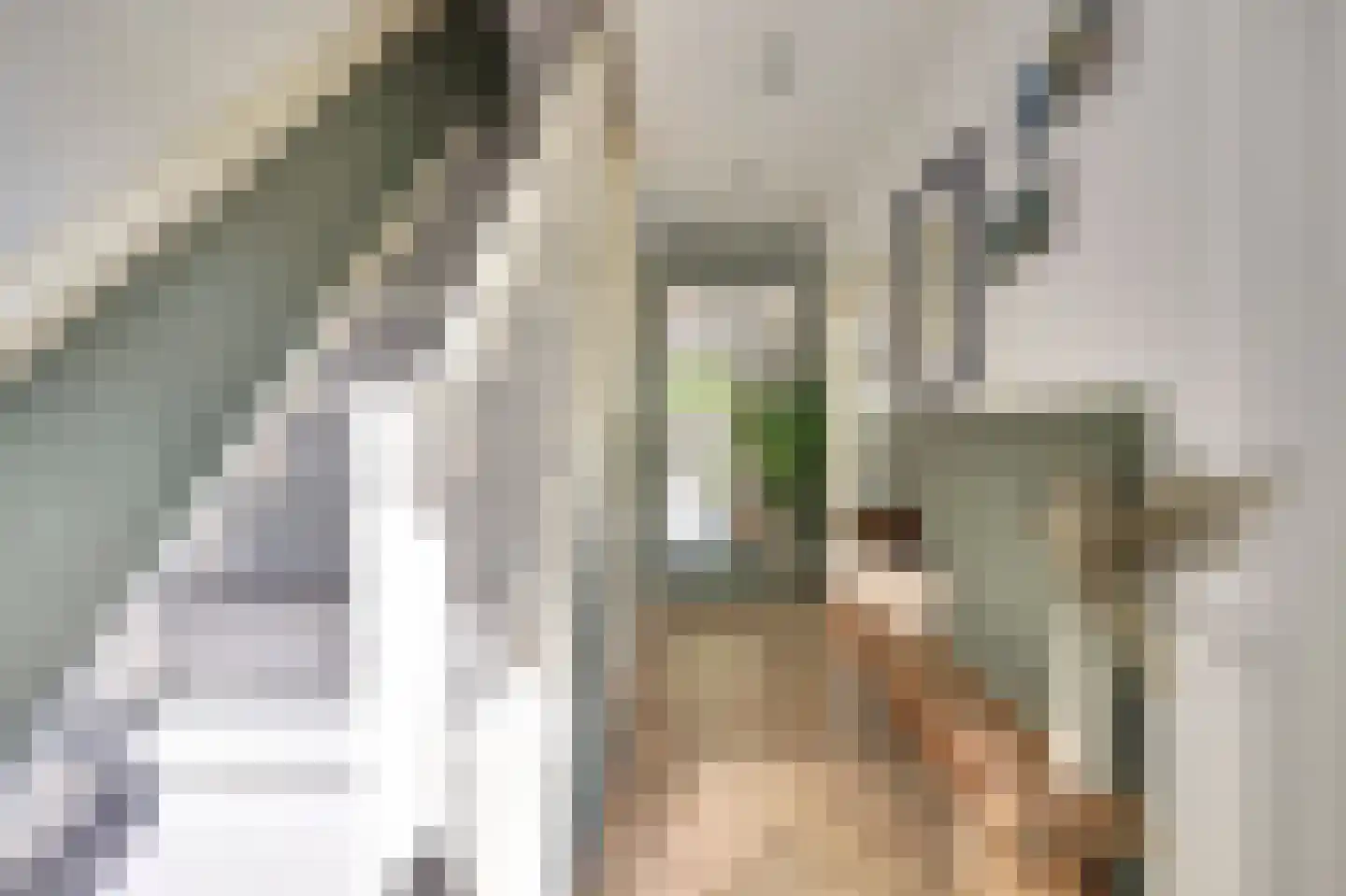 Hofzicht 45 De Lier thumbnail 6