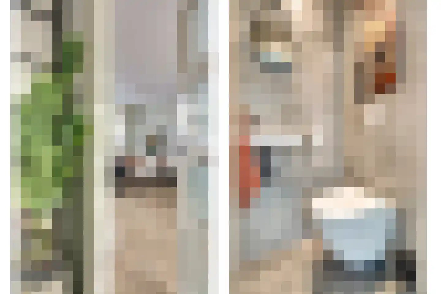 Hofzicht 45 De Lier thumbnail 8