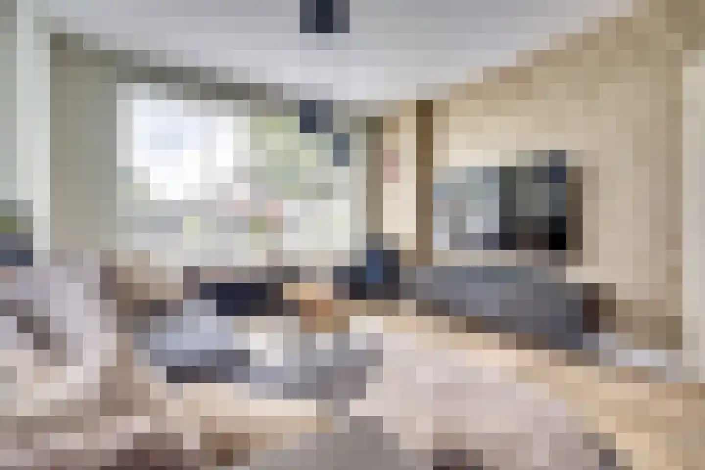 Hofzicht 45 De Lier thumbnail 9