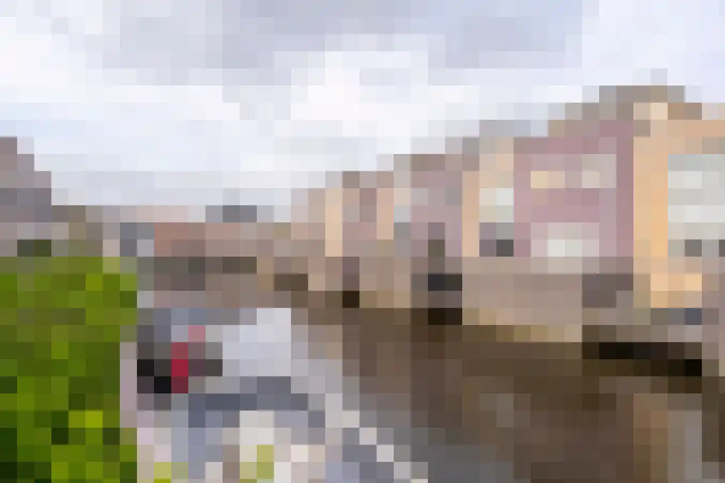 Hofzicht 52 Hillegom thumbnail 13