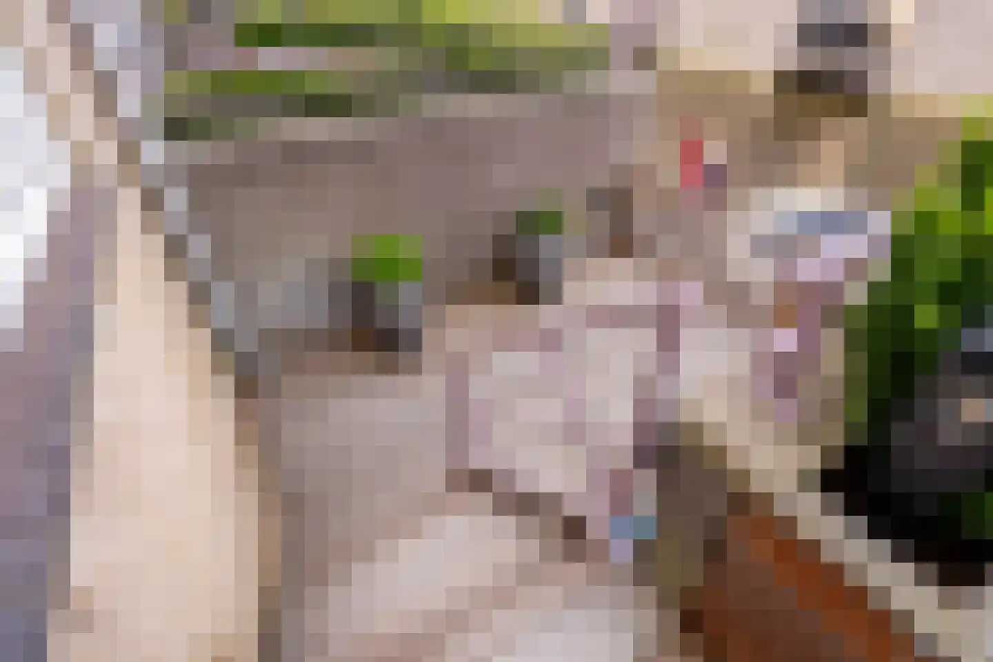 Hofzicht 52 Hillegom thumbnail 14