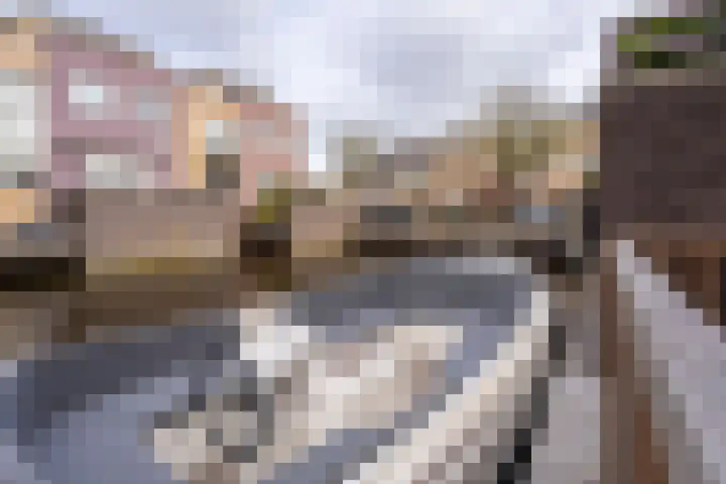 Hofzicht 52 Hillegom thumbnail 17
