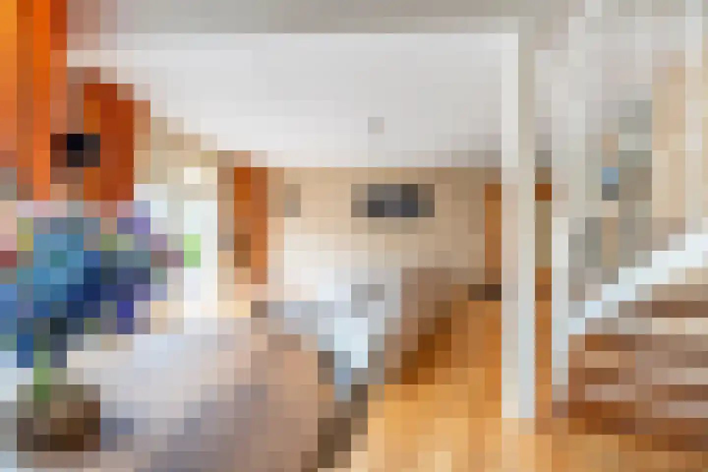 Hofzicht 52 Hillegom thumbnail 21