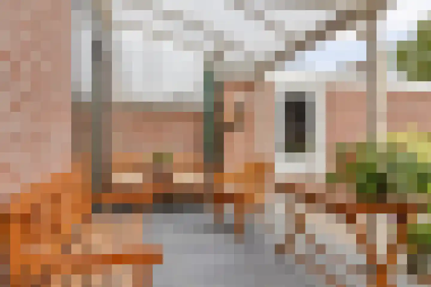 Hofzicht 65 Wateringen thumbnail 14