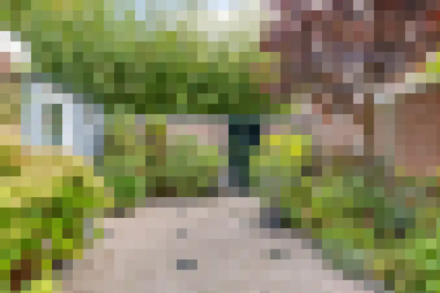 Hofzicht 65 Wateringen thumbnail 17