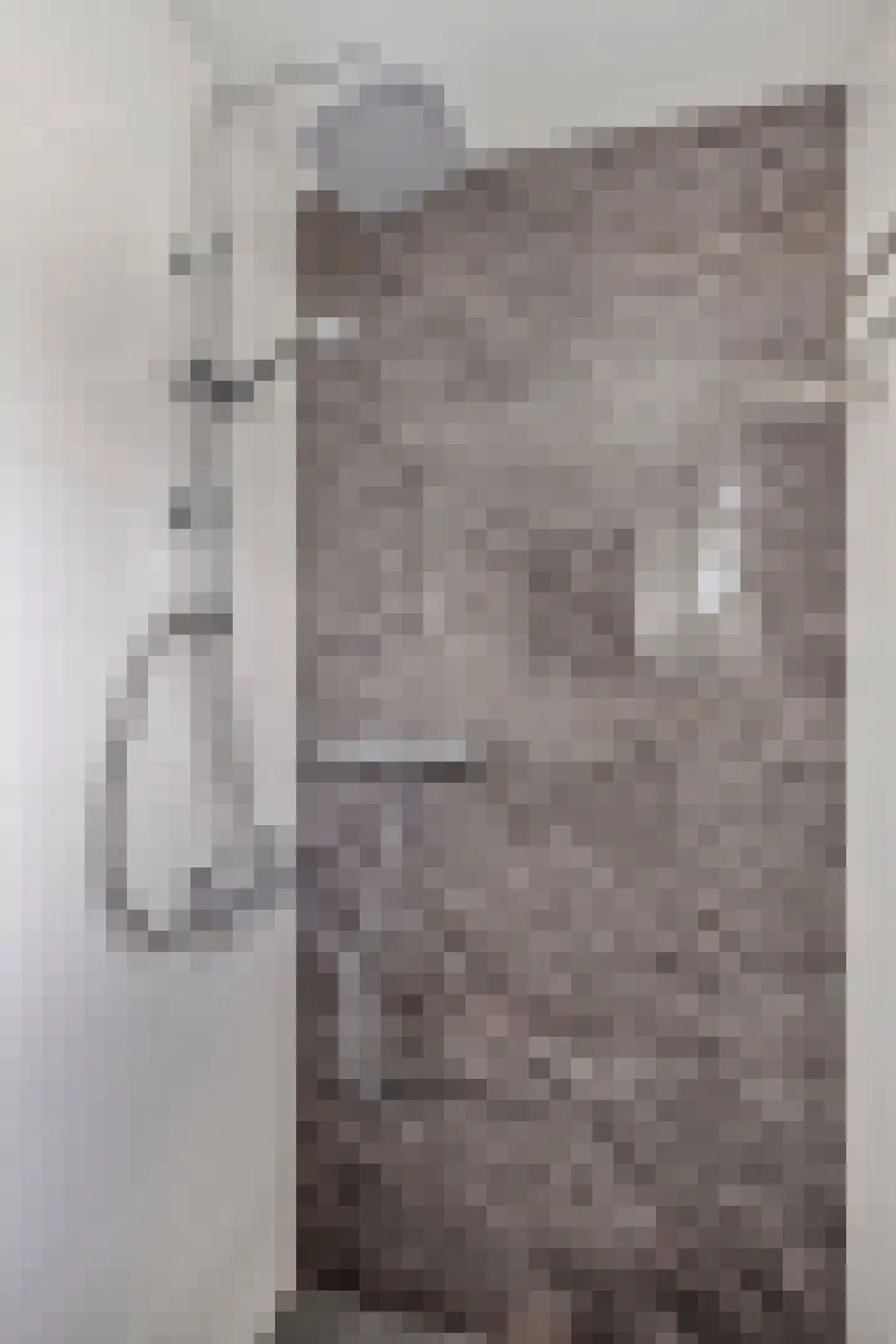 Hofzicht 65 Wateringen thumbnail 27