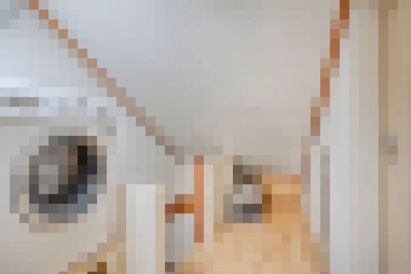 Hofzicht 65 Wateringen thumbnail 31