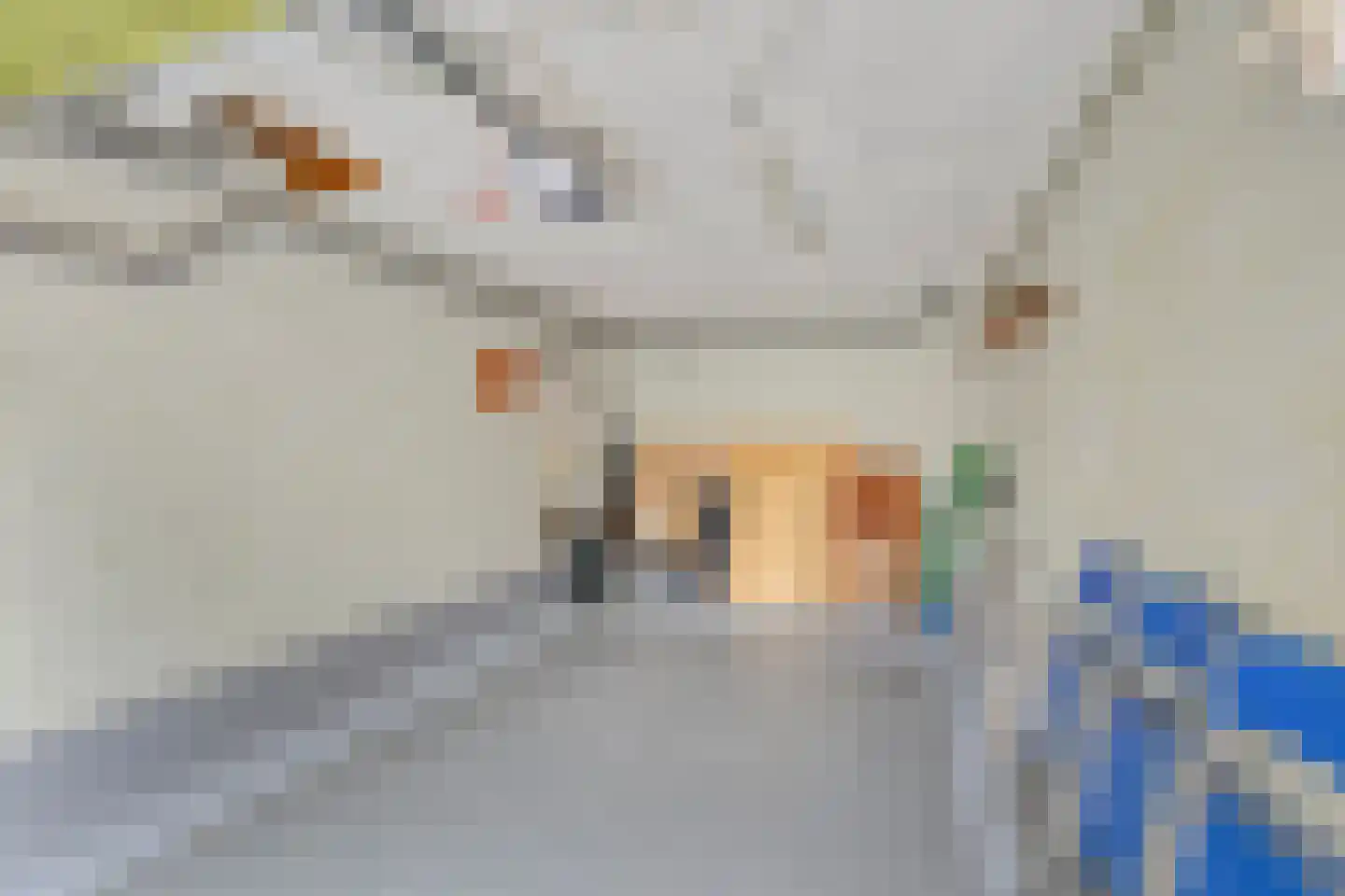 Hofzicht 65 Wateringen thumbnail 35