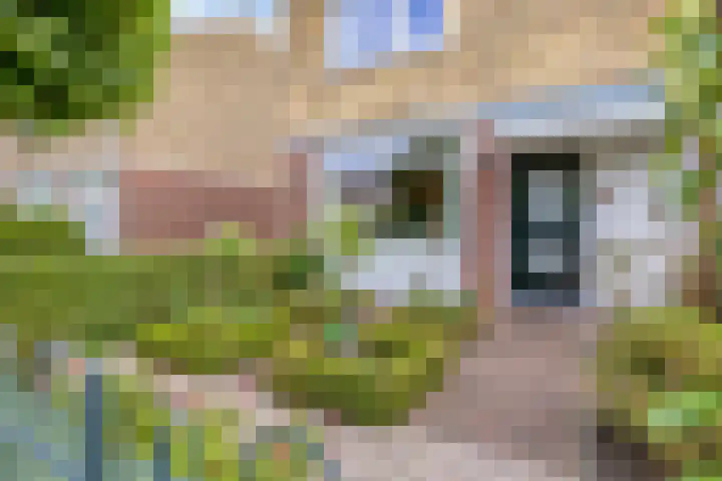 Hofzicht 65 Wateringen thumbnail 4
