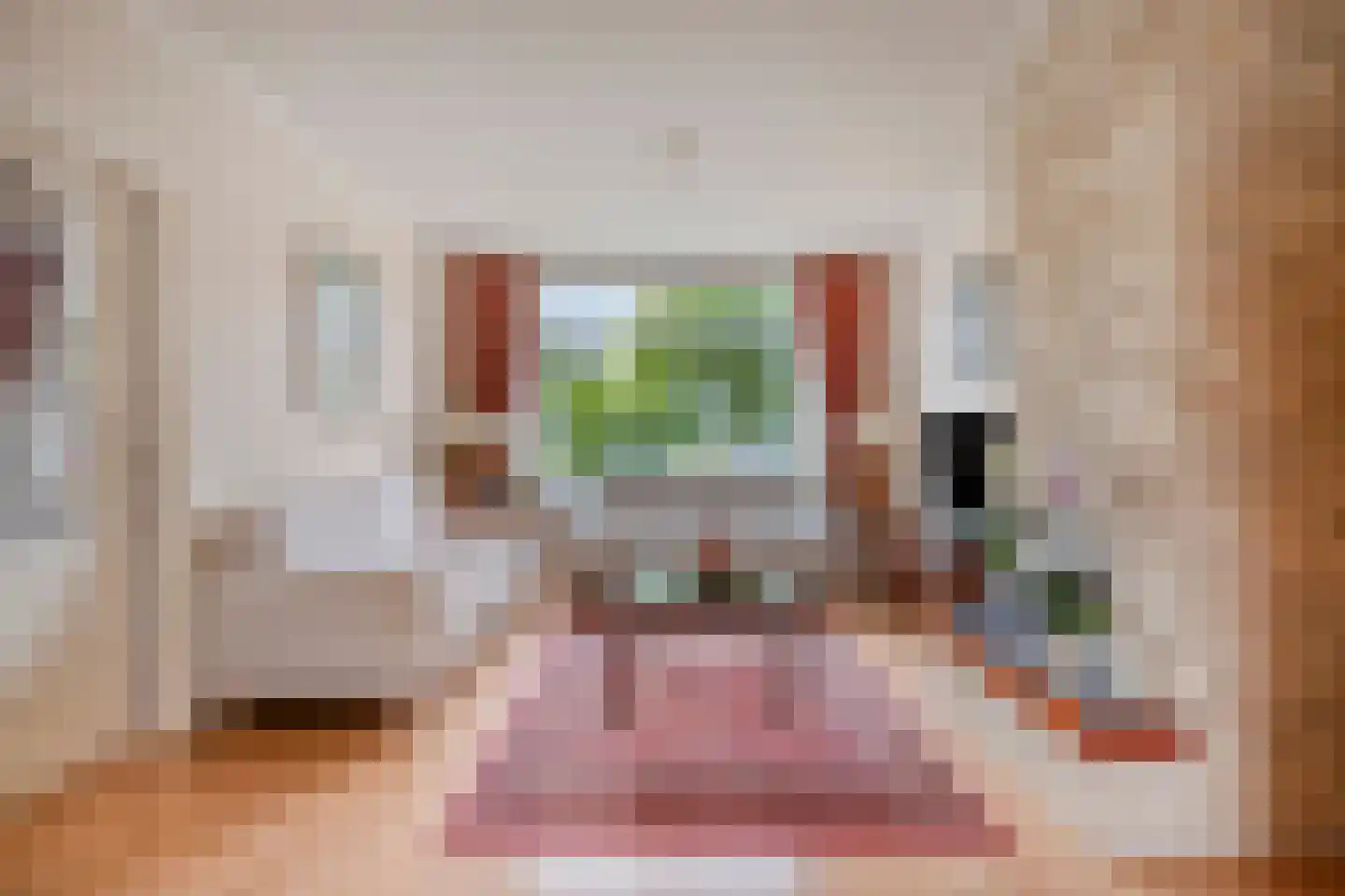 Hofzicht 65 Wateringen thumbnail 7