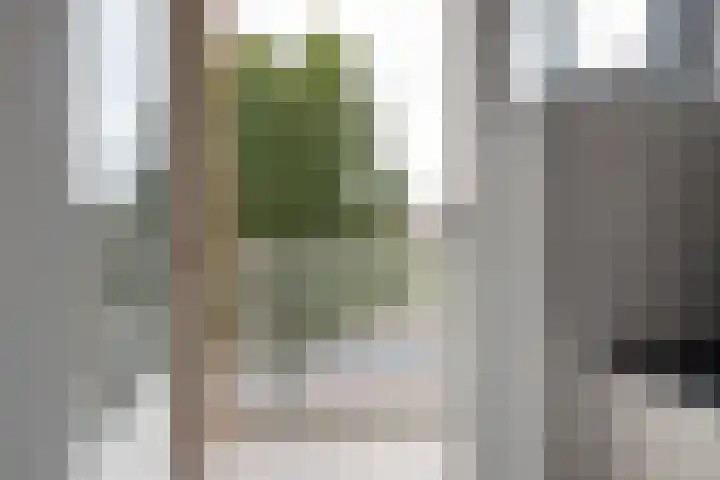 Hofzichtlaan 116 Den Haag thumbnail 13