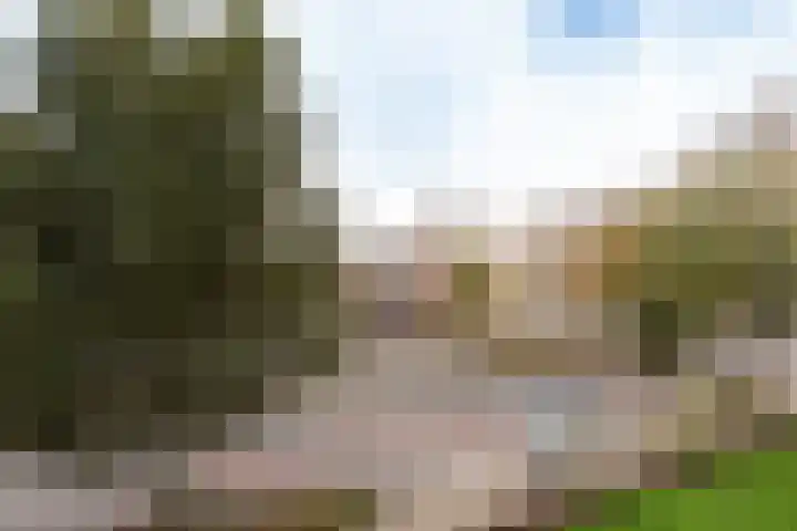 Hofzichtlaan 116 Den Haag thumbnail 14