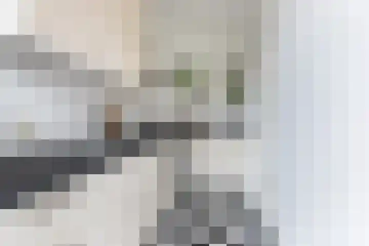 Hofzichtlaan 116 Den Haag thumbnail 15