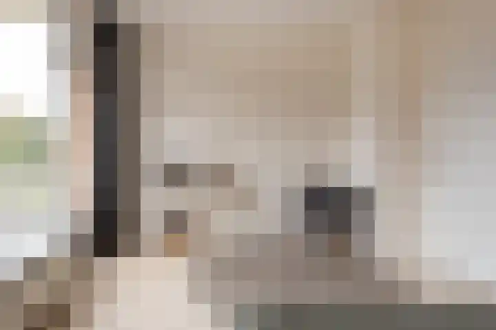 Hofzichtlaan 116 Den Haag thumbnail 18