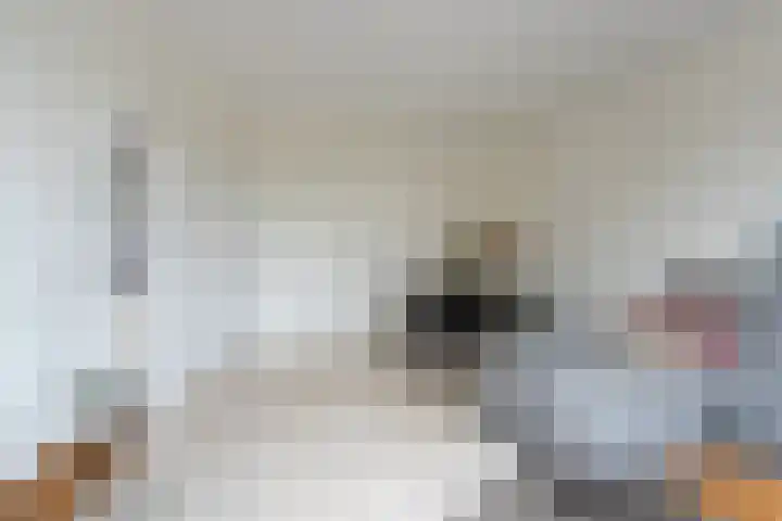 Hofzichtlaan 116 Den Haag thumbnail 8