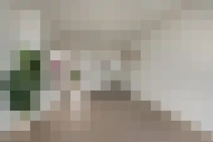 Hofzichtlaan 160 Den Haag thumbnail 11