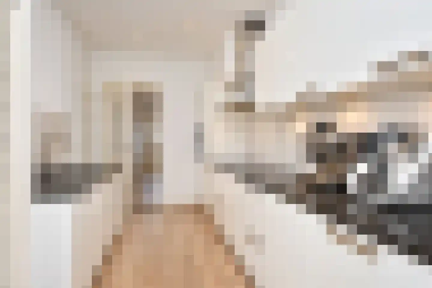 Hofzichtlaan 24 Den Haag thumbnail 13