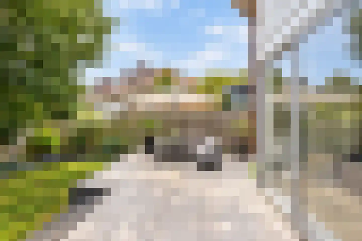Hofzichtlaan 24 Den Haag thumbnail 33