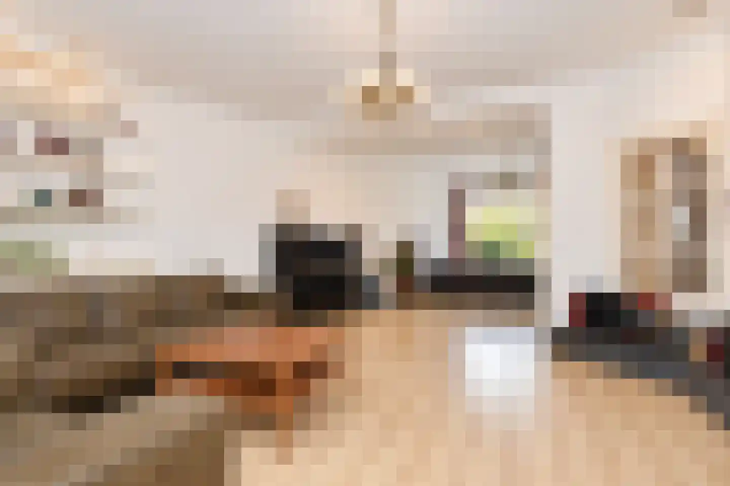 Hofzichtlaan 24 Den Haag thumbnail 5