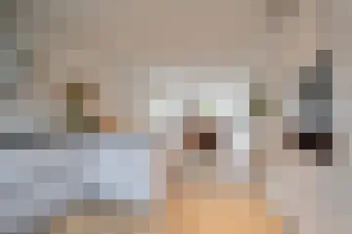 Hofzichtlaan 9 Noordwijkerhout thumbnail 22