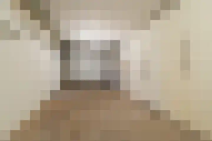Hofzichtlaan 9 Noordwijkerhout thumbnail 33