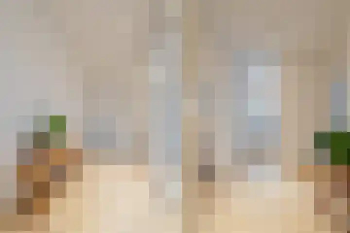 Hofzichtlaan 9 Noordwijkerhout thumbnail 34